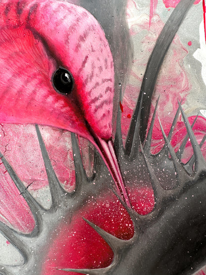 Pink Hummingbird