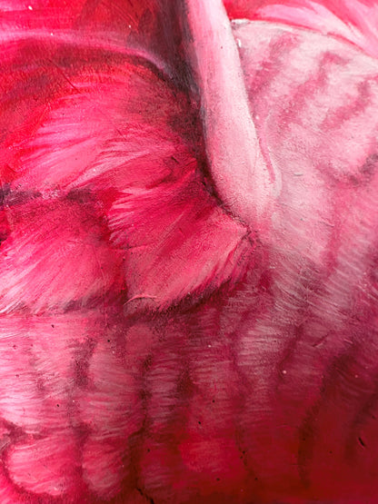 Pink Hummingbird