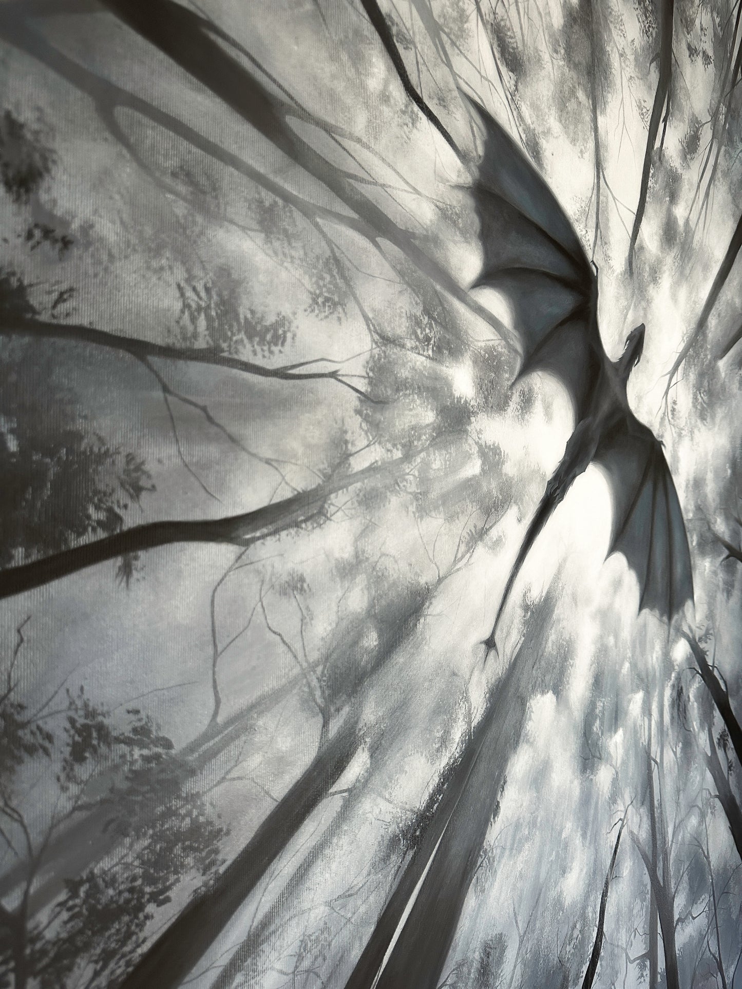 Shadow of the Forest