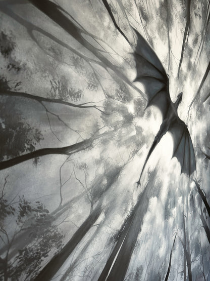 Shadow of the Forest