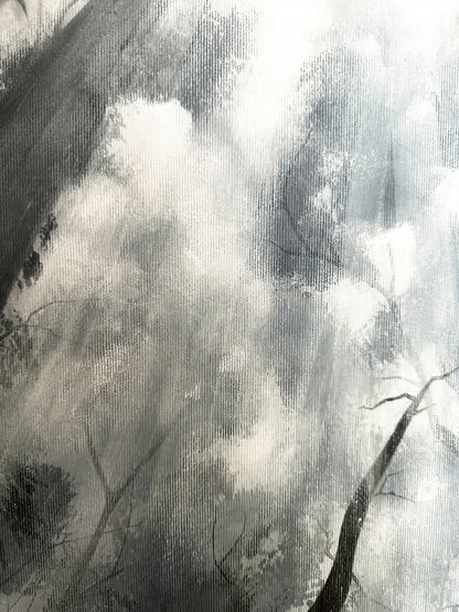 Shadow of the Forest