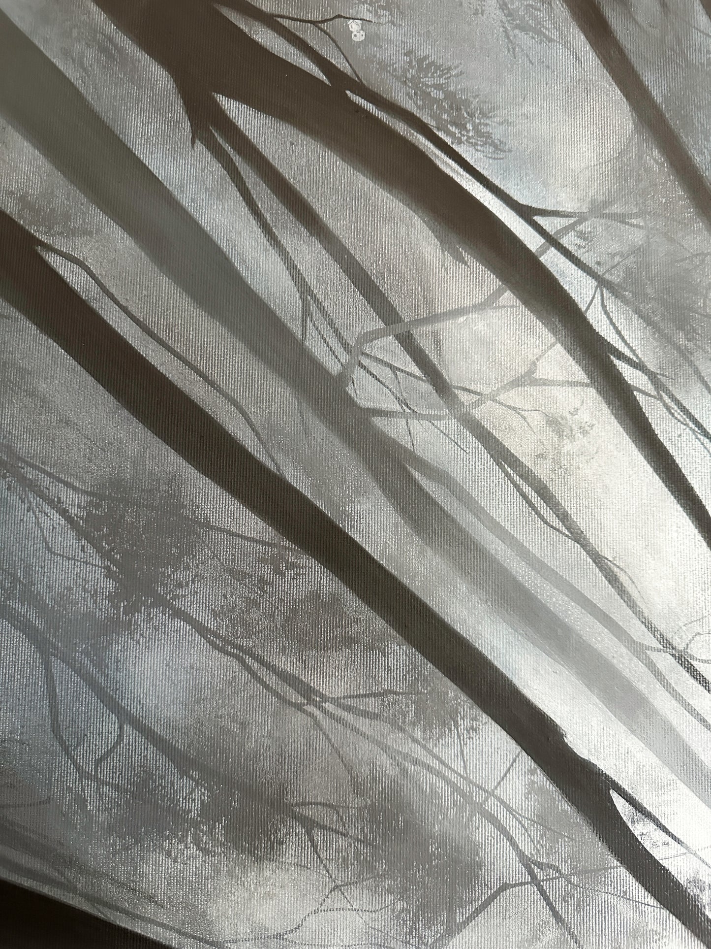 Shadow of the Forest
